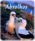 Abrolhos Bahia
