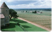 Fazenda Bordeaux